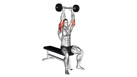 Olympic Barbell Triceps Extension: Video Guide & Tips