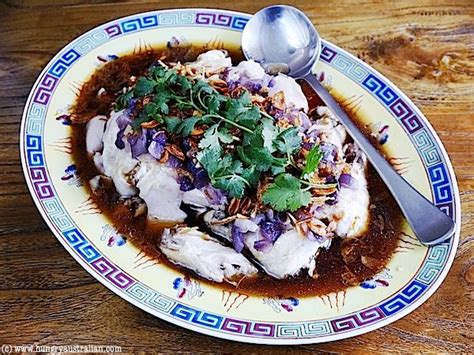 Silky Chinese Chicken - The Hungry Australian