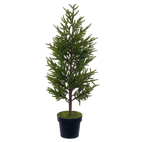 Norfolk Pine Potted Trees – Tinsel Traditions