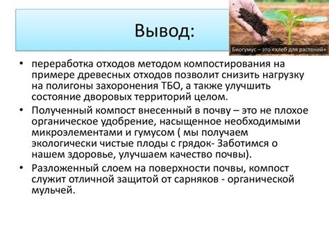 Переработка отходов в биогумус - презентация онлайн
