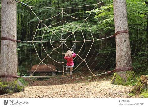 Female Child Climbs In A Spider Web Of Ropes Adventure Playground In