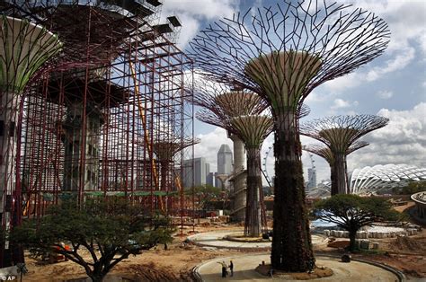 Singapore Supertrees 50 Metre Manmade Trees Installed In The Middle Of