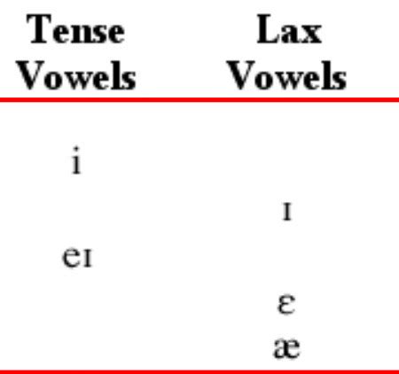 Phonetics Exam 1 Flashcards Quizlet