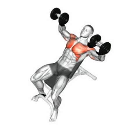 incline dumbbell press    build  bigger upper chest