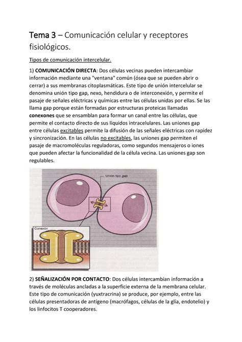 Comunicación intercelular Tema 3 Comunicación celular y receptores