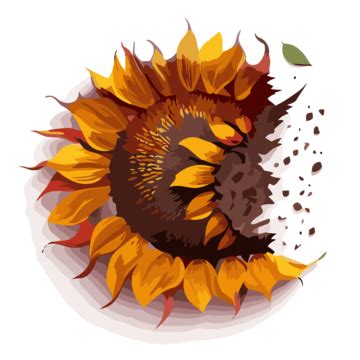 Half Sunflower Vector, Sticker Clipart 3d Sunflower Graphic Cartoon ...