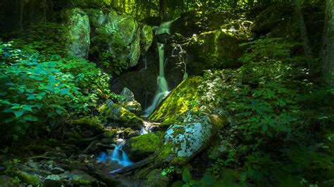 Falls Of Naked Creek D Map Photos And Directions Shenandoah National Park Let S See America