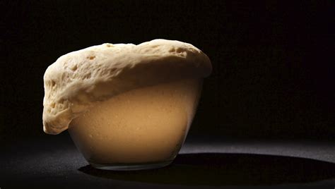 Дрожжи: виды и предназначение