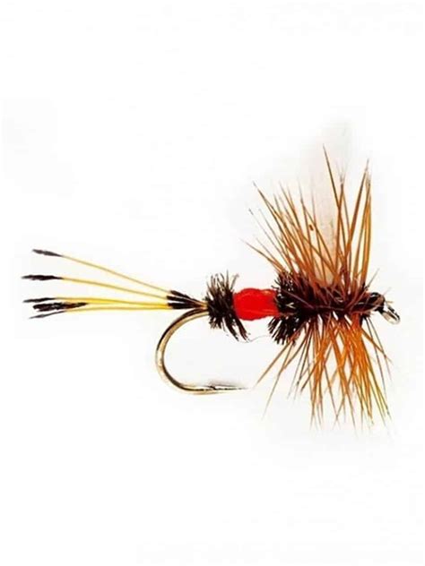 Best Trout Flies Proven Patterns Fly Fishing Field Guides