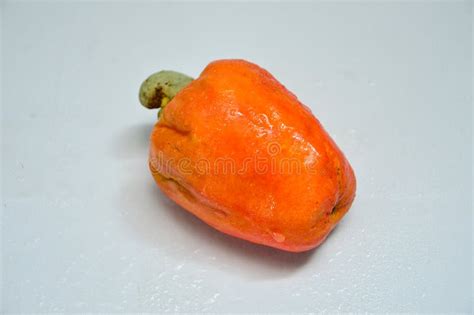 Fresh Raw Cashew Fruit From The Tree Stock Image Image Of Fresh