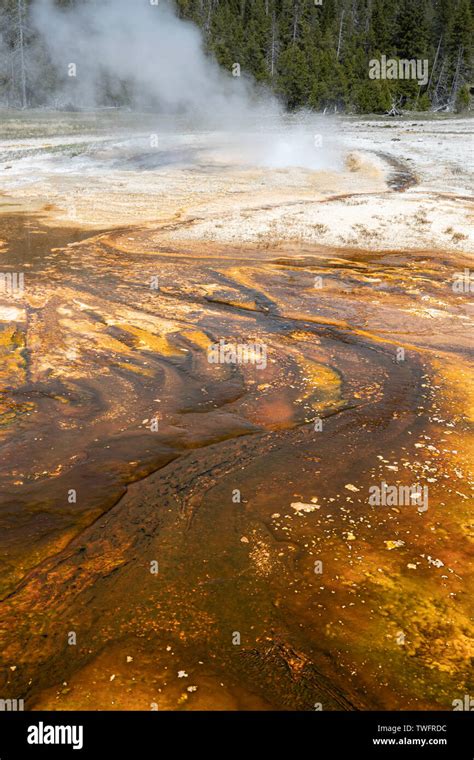 Mineral Deposits In The Hot Springs At Old Faithful Yellowstone Wyoming USA Stock Photo Alamy