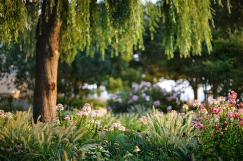 Guía completa para cuidar las plantas de exterior en invierno: consejos