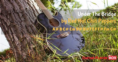 Under The Bridge Red Hot Chili Peppers Chords GuitarPlayerBox