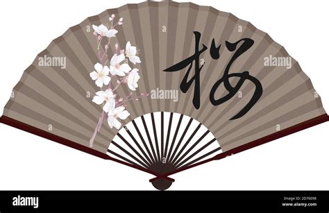 Ancient Traditional Asian Fan with Sakura On It Stock Vector Image ...