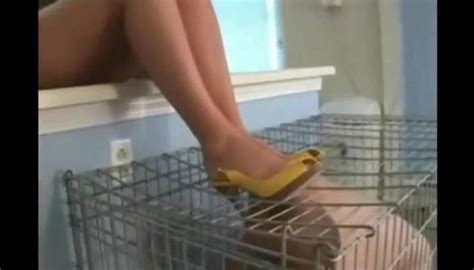 Mann Als Sklave TNAFlix Porn Videos