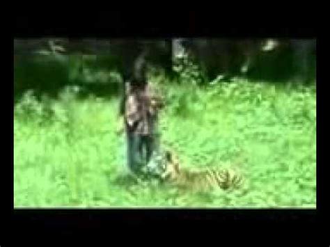Tiger Fuck Youtube