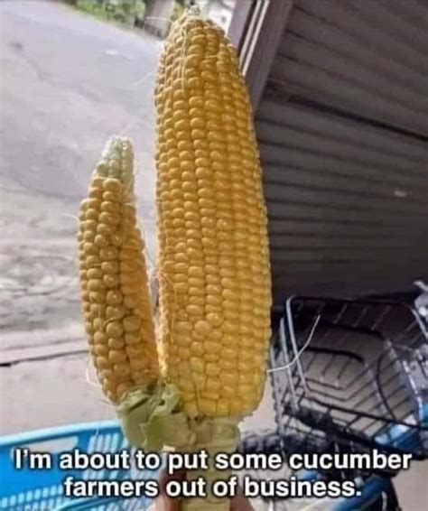 Horny Women Love My Garden R NSFWMemes