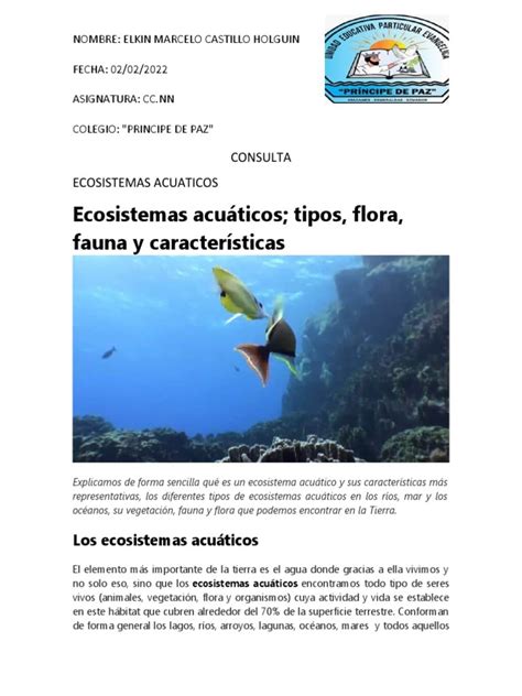 Explorando Las Caracter Sticas De Fauna De Los Ecosistemas Acu Ticos