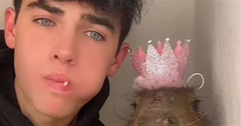 Tiktok Star Kyle Thomas Tackled About Exotic Animal Influencing In