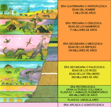 Eras Geológicas timeline Timetoast timelines