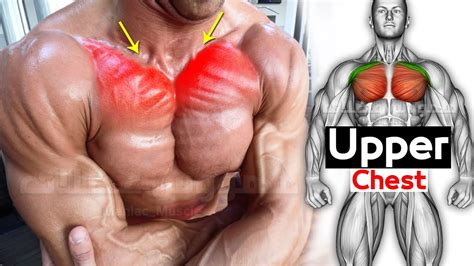 Best 6 Exercises Upper Chest Workout 🔥 Youtube