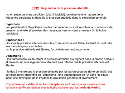 TP12 Régulation de la pression artérielle