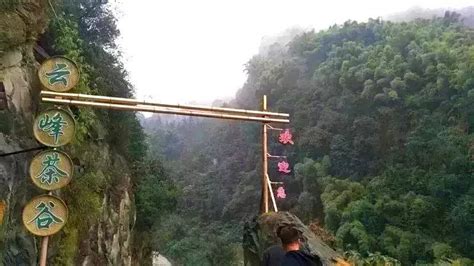 大竹旅游景点有哪些县城大竹县旅游景点大山谷图库