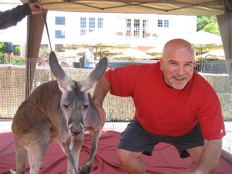 Kangaroos - The Entertainment Contractor