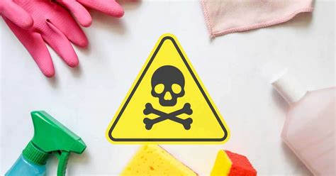 מפת רפלקסולוגיה: מדריך מקיף וסוגים שונים למפה | AlternaBe