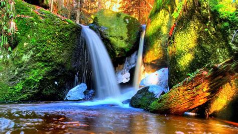 Waterfalls Between Green Algae Covered Rocks Pouring On River Forest Background Hd Nature