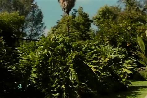 Une Superbe Blonde Chevauche Une Grosse Bite Au Bord De La Piscine XHamster