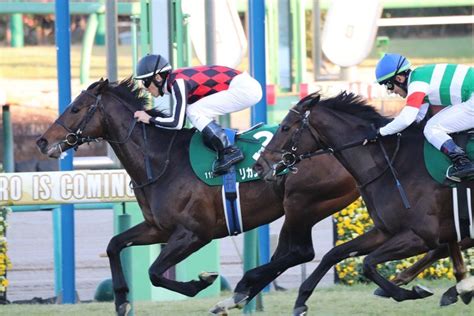 【中山金杯（g3）回顧】推奨馬マテンロウレオ7着何処｜haya