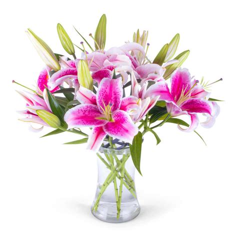 stargazer lily bouquet flower delivery fairfax va greensleeves florist