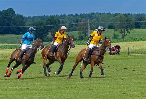 Polo I Foto & Bild | sport, erwachsene, deutschland Bilder auf ...
