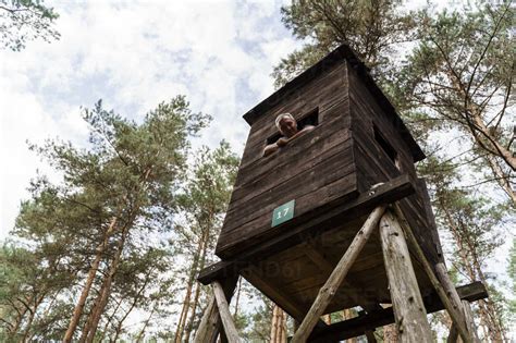 Mature Man Looking Down From Hunting Blind In Forest Stock Photo