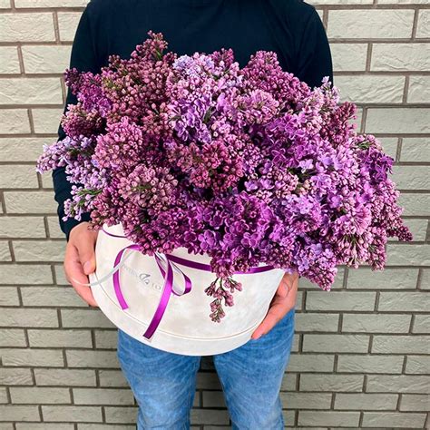 Сирень в бежевой коробке