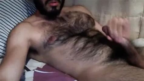 Free Hairy Macho Gay Porn Videos Xhamster