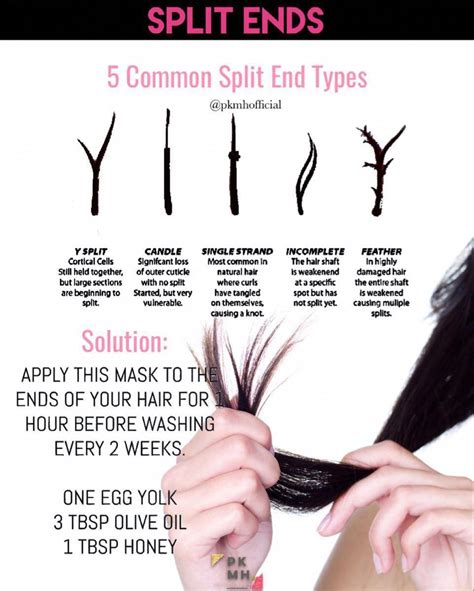 hair repair treatments  damaged hair artofit