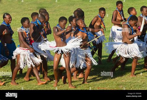 Swazi Girls Parade At Umhlanga Reed Dance Festival Swaziland Stock