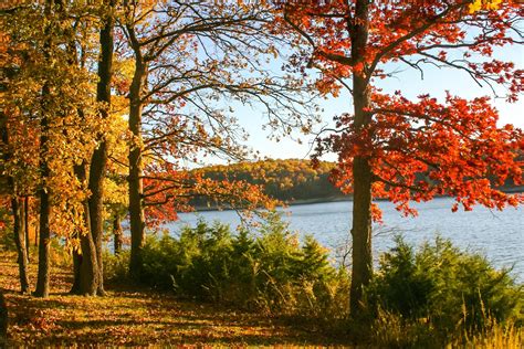 Where to See the Best Fall Leaves in the U.S.