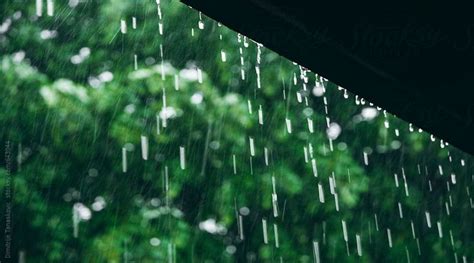 air hujan keajaiban  menyegarkan kehidupan