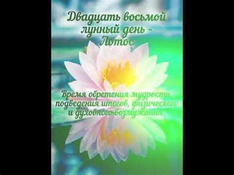 Лунные сутки Лотоса #магия_таро #психология #предсказания #астрология # ...