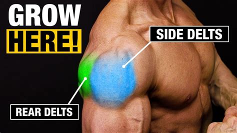 Shoulder Exercise Get Big Shoulders SIDE AND REAR DELTS