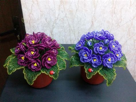 Фиалка Фриволите Фото – Telegraph