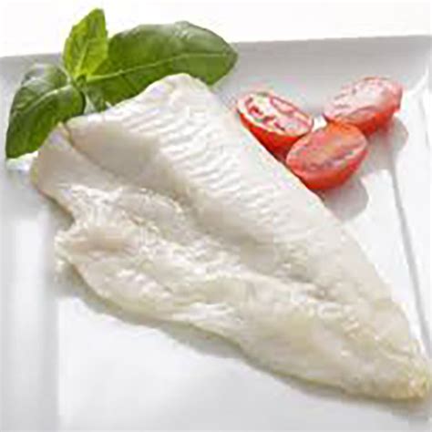 fillets   winner gold coast