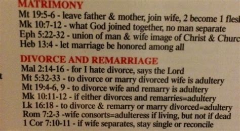 Drop Bear Growls Bigot Point Same Sex Marriage Isn T Biblical Marriage