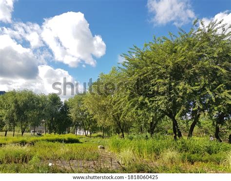 Woojunging의 스톡 사진 및 이미지 포트폴리오 Shutterstock