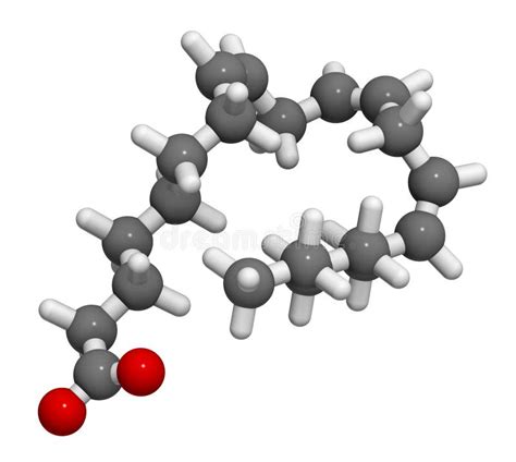 Dihomogamma Cido Linol Nico Dgla Mol Cula De Cido Graso Omega Cido