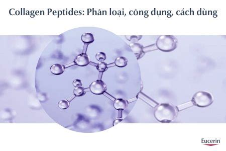 Collagen Peptides Là Gì Công Dụng Và Cách Sử Dụng Hiệu Quả Eucerin