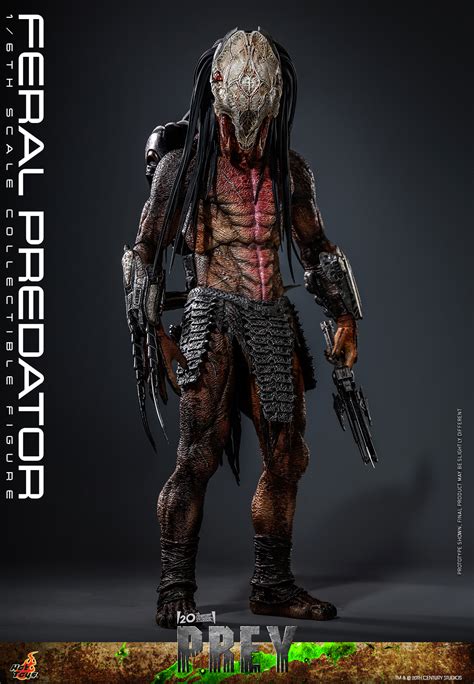 Hot Toys終極戰士獸獵者野性終極戰士Feral Predator1 6 比例收藏級人偶 傾力刻畫出的最醜容顏
